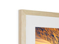 A beautiful close up of a photo with a wooden frame attached to it.