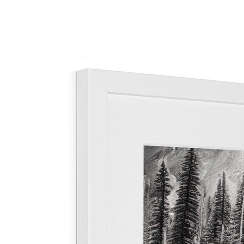 A white picture frame filled with framed art and a forest, the trees are black and