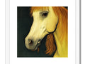 A horse with a taint and a horse face in an art print