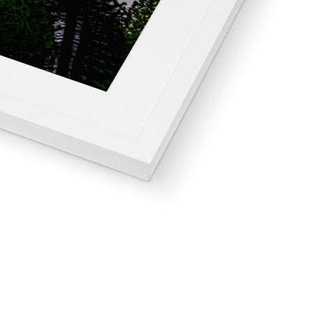 A picture frame sitting under a tree on a white background.
