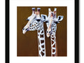 A couple of giraffes standing with their hands on the back of each other at