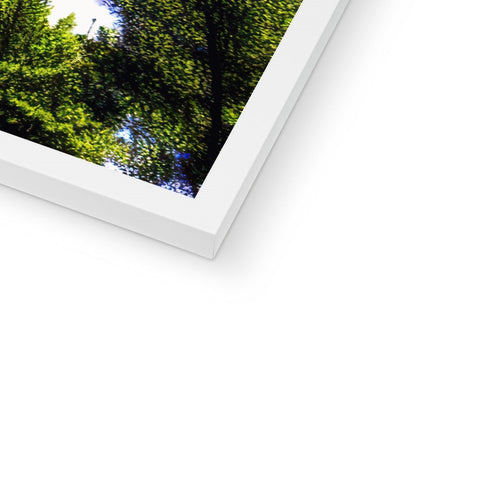a picture frame is in focus with a close-up picture of a tree.