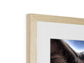A picture frame on a white table with a photo photo of a black dog.