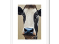 A cow on a farm has its head displayed in a frame.