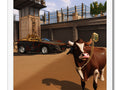 A cow and a bull on the side of a truck with fences, walls and metal