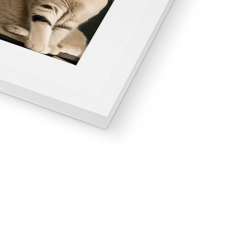 A cat resting on a photo plate in a photo frame inside of a white frame.