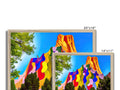 Four images of mountain peaks with colorful vines and foliage.