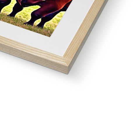 A picture frame with a horse standing in grass next to a book.