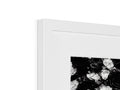 The top of a black and white photo frame with a picture of a painting, flower
