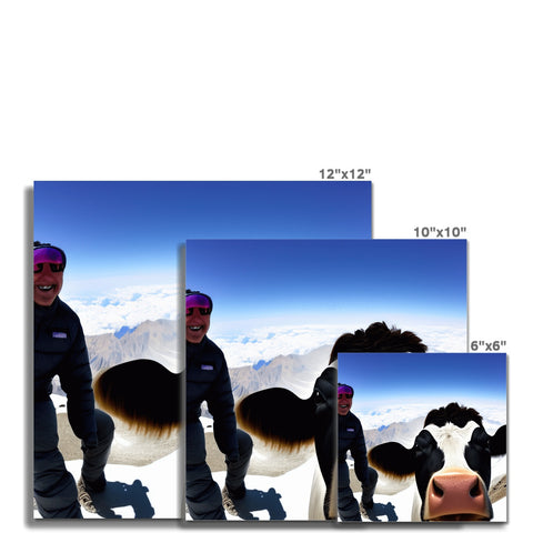 Four images of a picture of a bull standing in front of a fence with two cows