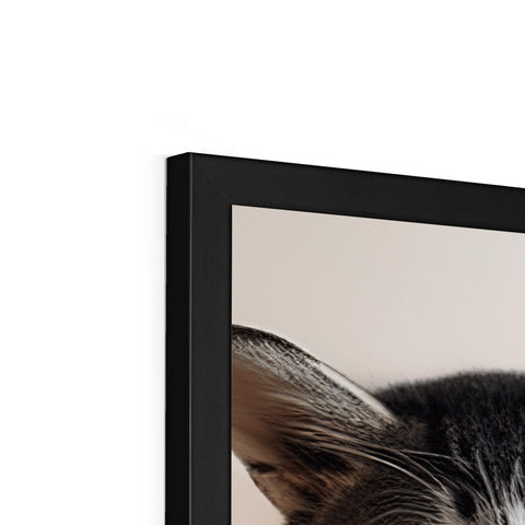A cat is leaning on the side of a picture frame in front of the screen.
