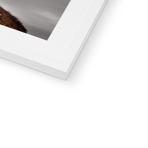A photo of a ferret looking out of a white picture frame.
