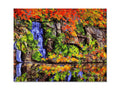A waterfall in a picture frame with fall foliage hanging over a mountain.