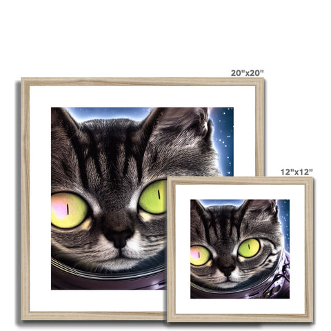 A cat with its eyes on a picture frame with a white background.