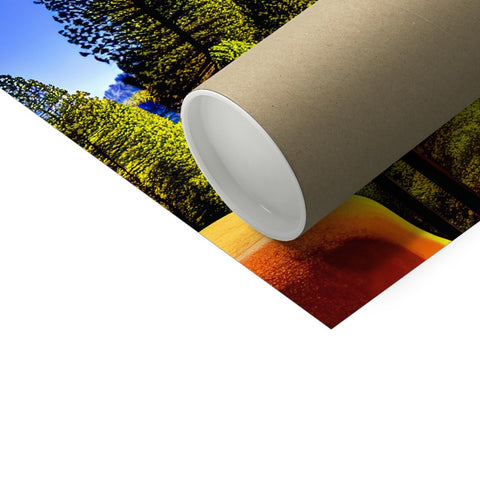 Paper roll used to buy paper towels with printed paper on them placed between them
