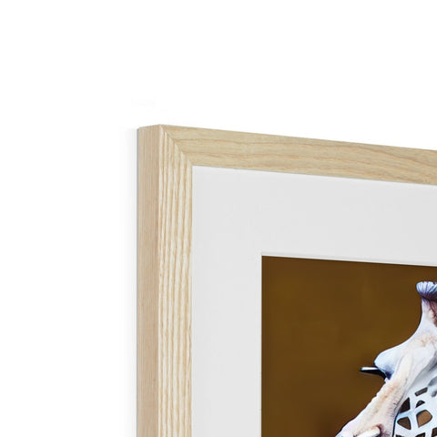 A giraffe stands on top of a wood lined picture frame with a bird.