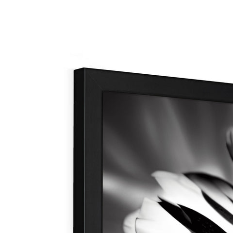 A flat screen television on a black and white picture frame on a wall.