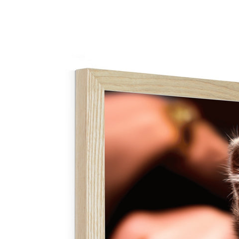 there is a picture of a meerkat inside of a wooden frame.