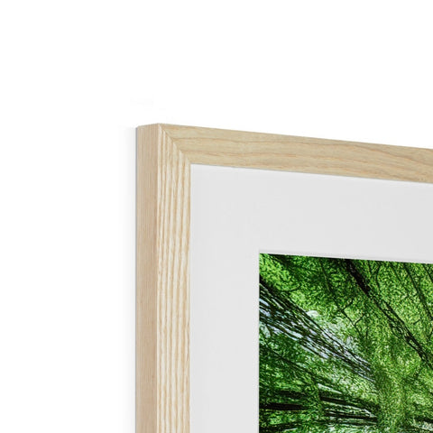 A photograph has some wood on a white background next to a picture frame.