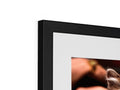 An image of a black cat looking up from a picture frame with a picture of cats