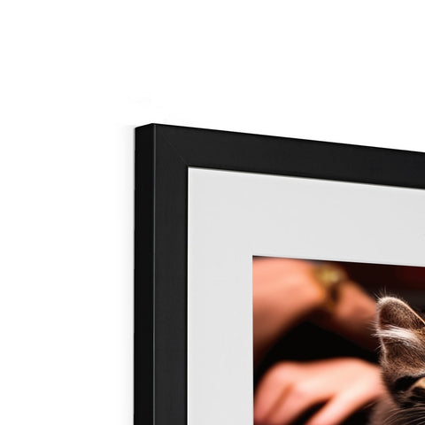 An image of a black cat looking up from a picture frame with a picture of cats