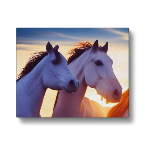 Two horses are standing in a field in the heat of the late afternoon.