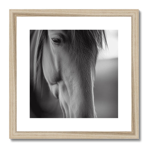 A framed photo of horse on a white background.