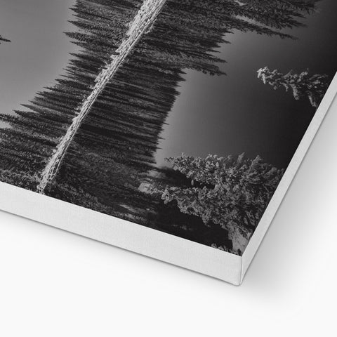 A woody landscape is reflected on a table on a black and white photo frame.