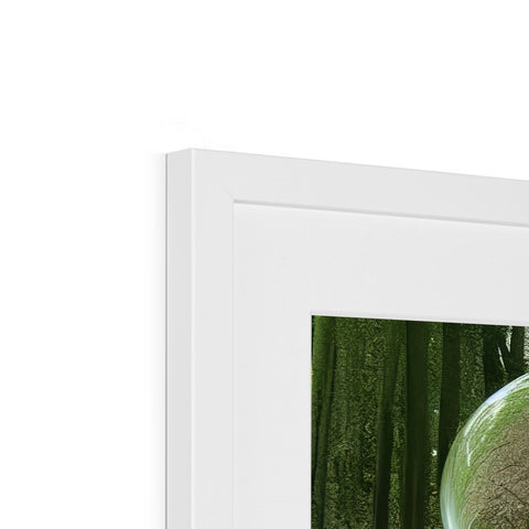 A picture frame with a framed photograph of a reflection of a tree behind a wooden wall