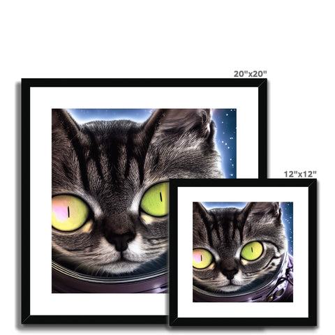 An image of the cat looking down at a photo picture frame with two photo frames.