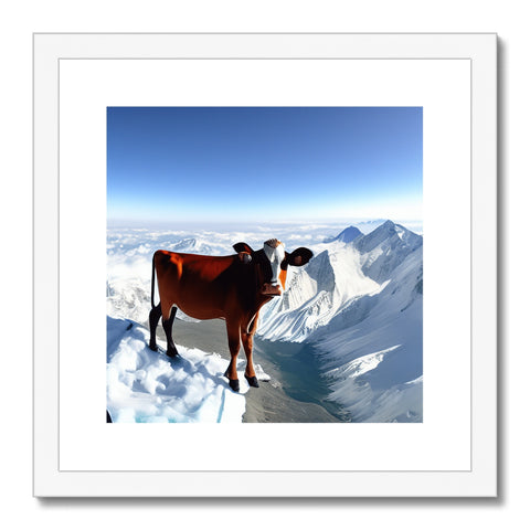 A cow sitting on top of a mountain in the sunlight looking at the horizon.