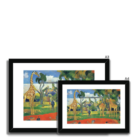 A group of giraffes standing with other giraffas beside tall grass at the