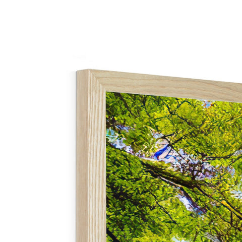 A picture frame with a man standing in front of some woods with a tree in the