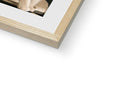 A picture frame with a white frame holding a frame of a photo of a cat wearing