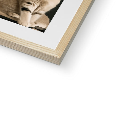 A picture frame with a white frame holding a frame of a photo of a cat wearing