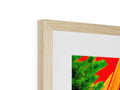 a photo frame with some wood on top of it and some colorful wood is on it