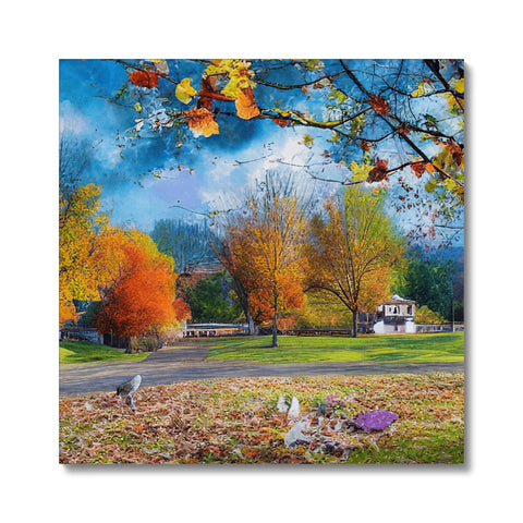 Plane shaped picture on a soft blanket surrounded by colorful foliage.