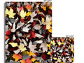 Fall leaves are displayed on a wall with a print white blanket.