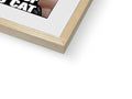 A picture frame with cat food, cat pictures, a soft cover, cat food and