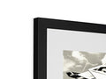 A black and white framed airplane winged fighter plane is sitting in a picture frame.