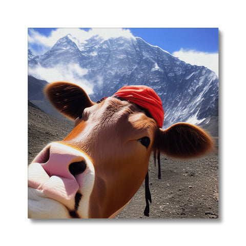 A cow with a cow bell, a white background and a red horn.