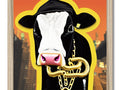An image of a cow that is holding a cow bell on the side of its face