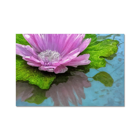 A purple water lily with blue flowers on a napkin and a white flower on