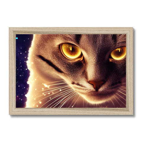 This is a picture of a cat on a wooden frame with a closeup of the