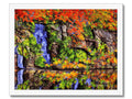 A large painting of colorful fall foliage with moss on it on a rock protruding from
