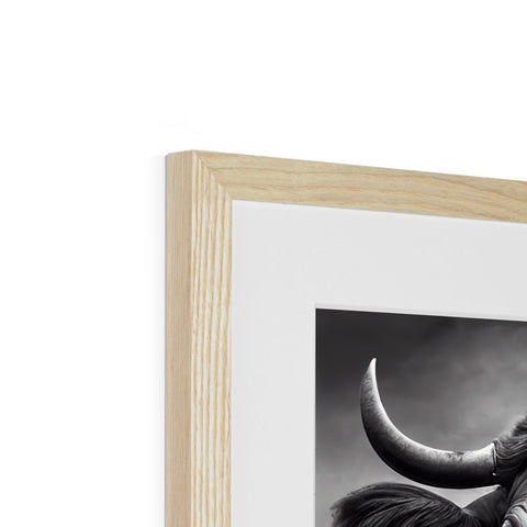A photo of a bull holding his horns up the side of a picture frame.