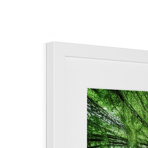 A picture of a green wall with a picture on it with a white photo frame above