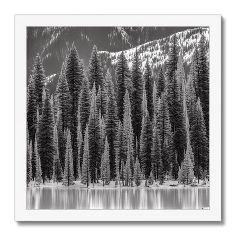 Black and white art print of a forest with large pine trees.