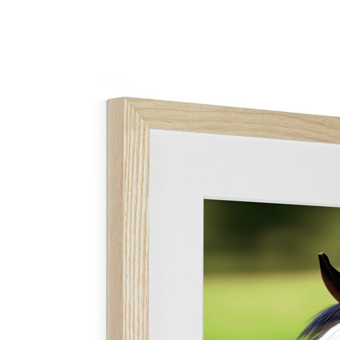 A picture of a horse sitting in a picture frame with a wooden picture of horses eyes