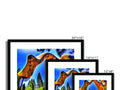 a colorful picture frame containing four photographs of a mountain landscape and various animals